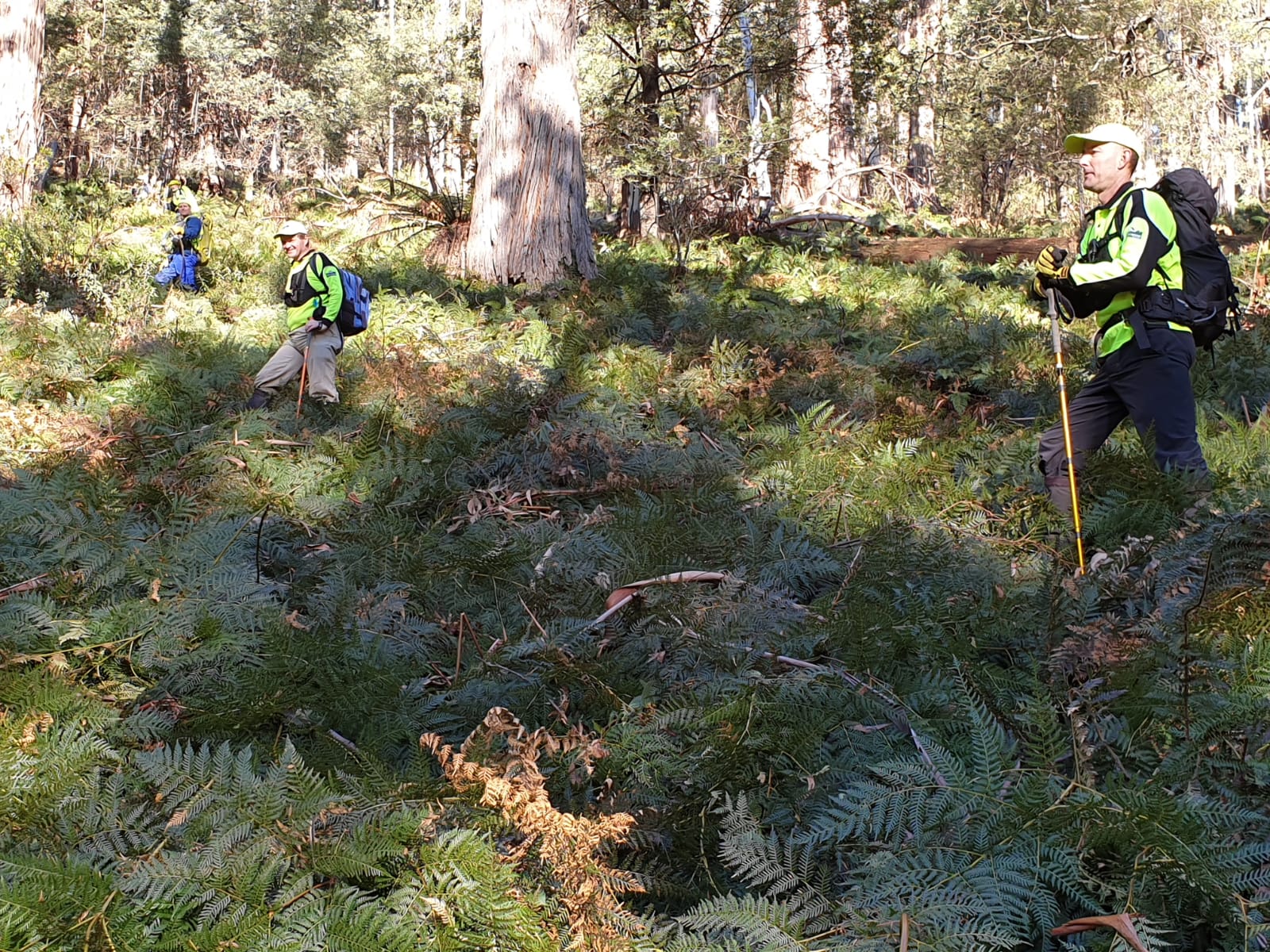 Search For Missing Person Close To Mount Buller Bush Search And Rescue Victoria 2159